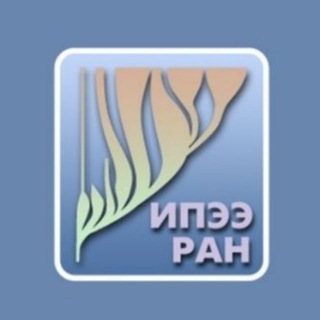 Аватар Телеграм канала "Институт проблем экологии и эволюции им А.Н.Северцова РАН" @ieeras