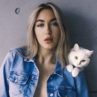 Аватар Телеграм канала "мурка московская" @mosmur