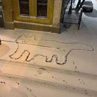Аватар Телеграм канала "Weird Street Signs" @weirdstreetsigns
