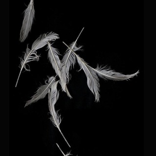 Abyss - TgScanner