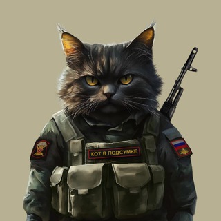 Кот в подсумке - TgScanner