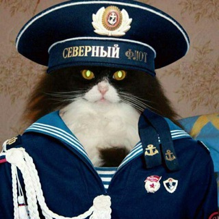 Аватар Телеграм канала "КотZ ГамаюнZ" @enderovich