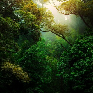 Nature Landscape Animal Photography Videos - TikTok Backup by AppleEditing [Mountains / Glaciers / Oceans / Switzerland] - TgScanner