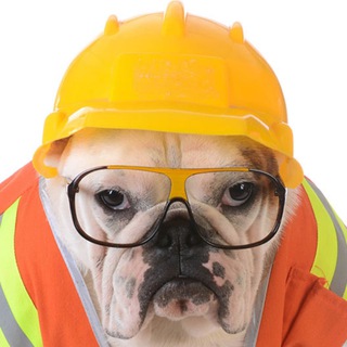 Avatar del canal de Telegram "Работяга с Интеллектом" @rabotyaga_s_intel