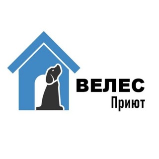Аватар Телеграм канала "Приют «Велес»" @veles_pushkino