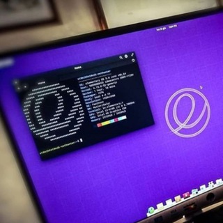 Аватар Телеграм каналу "Cs/IT Placement" @placementhelp