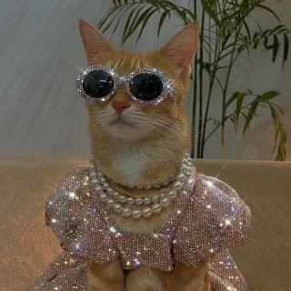 Avatar of Telegram channel "бьюти телега" @beautytelega
