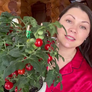 Avatar of Telegram channel "Машины секреты💚" @Masha_secrett