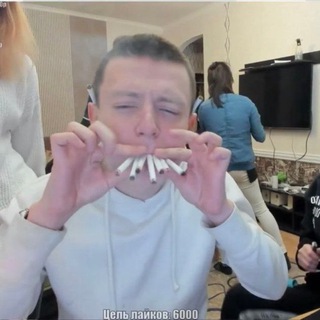 Avatar of Telegram channel "хейт ебланы кф" @hateattentionwhores