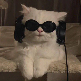 Avatar del canal de Telegram "مَبتهمنيِش.♪♫" @h_a_u44