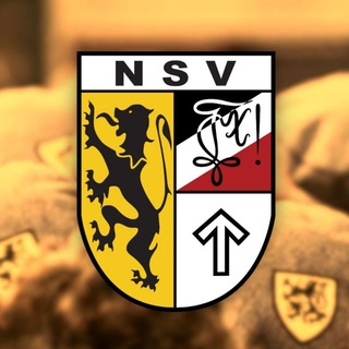 Avatar del canal de Telegram "NSV! Nationalistische Studentenvereniging" @nsvnationaal