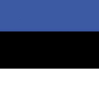 🇪🇪 Эстония чат - TgScanner