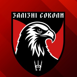 Залізні соколи | 67 ОМБр - TgScanner