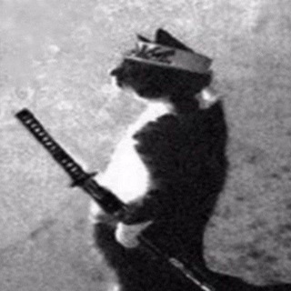 Аватар Телеграм канала "SAMURAI CAT" @catsamuraion