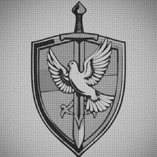 1-ша Диванна Штурмова Бригада ім. SHALIN - TgScanner