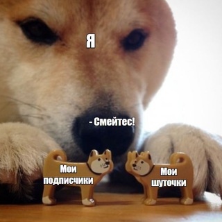 Avatar del canal de Telegram "Тот самый Ширапов" @s_shirapov