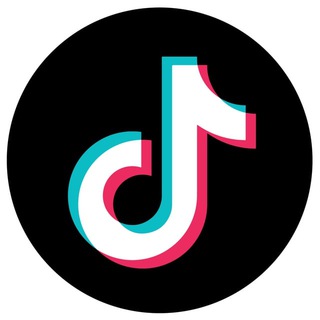 Tik Tok - TgScanner