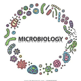 Avatar of Telegram channel "Microbiology" @microbiology_vid