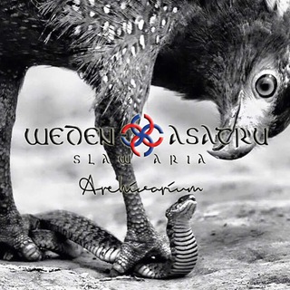 WEDEN & ASATRU Archivarium - TgScanner
