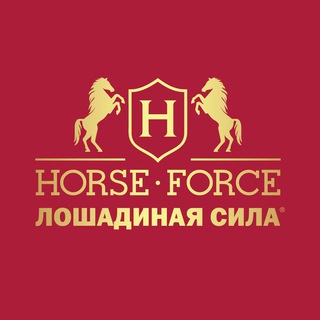 Лошадиная сила- Выбор Звёзд! - TgScanner