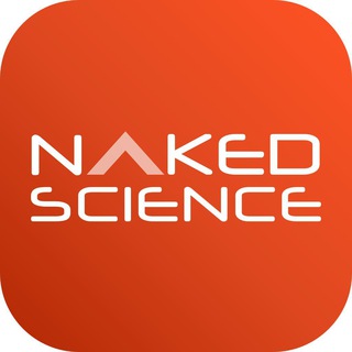 Naked Science – все новости - TgScanner