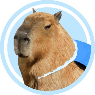 Capybara Chat - TgScanner