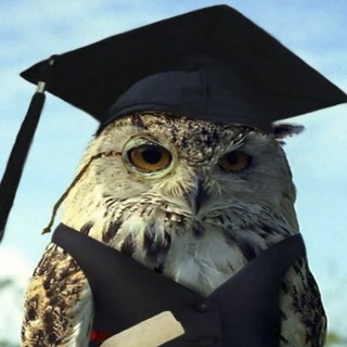 Эрудит - TgScanner