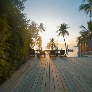 Аватар Телеграм канала "Prosamui" @prosamui