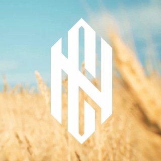 CYBERNATION.TEAM | THREEDAYZ - TgScanner