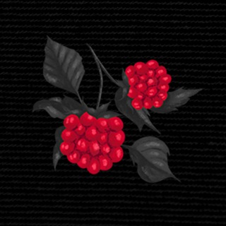 жыццё-маліна - TgScanner
