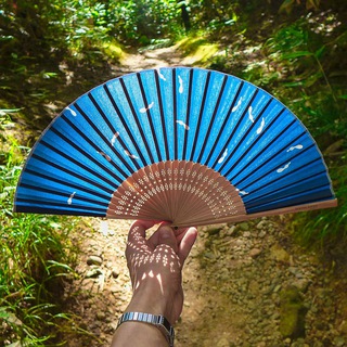 Avatar of Telegram channel "Kyoto Insights" @kunokumo