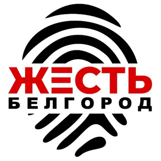 Жесть Белгород - TgScanner