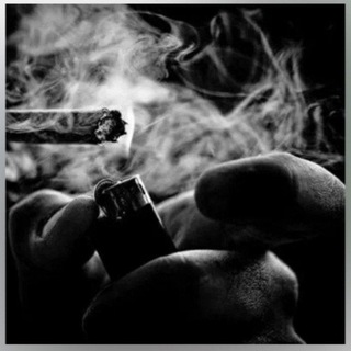 تراویلکه - TgScanner