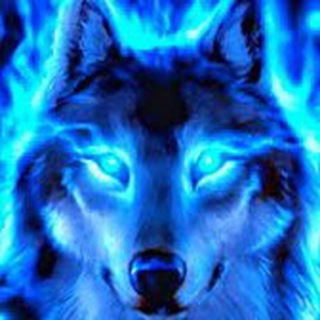 Husky / Raid: SL - TgScanner