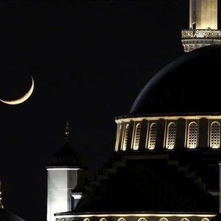 Нашиды - TgScanner