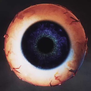 SLIVBLOG 2.0 - TgScanner