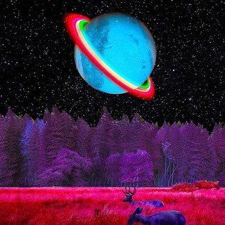 Avatar of Telegram channel "Night Company" @night_companyeng