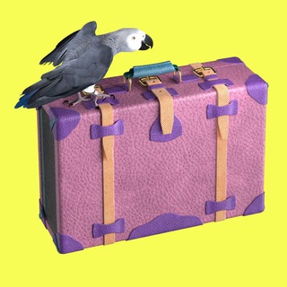 Avatar of Telegram channel "Т—Ж Чемодан" @t_chemodan