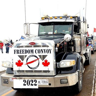 Avatar of Telegram channel "TruckersForFreedom" @truckersforfreedomglobal