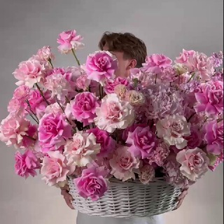 Spirid of Blossom - TgScanner