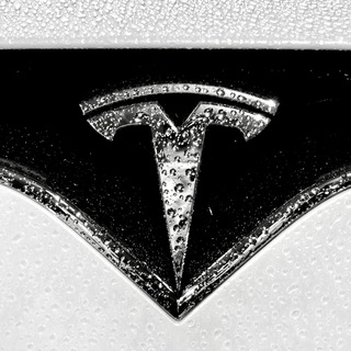 Tesla Motors Fans ⚡ - TgScanner