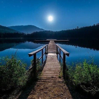 Avatar of Telegram channel "Amazing Natures 🌍" @amazingnatures