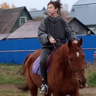 Аватар Телеграм канала "Дело Егора Балазейкина" @balazejkinegor