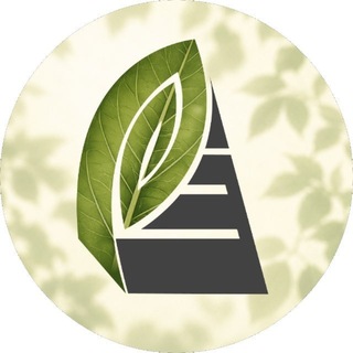 Аватар Телеграм канала "Содержание Городских Территорий | Владивосток" @vl_sgt
