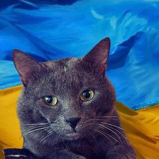Аватар Телеграм каналу "Геліос" @gelioscat