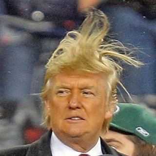 Trump's Haircut (fun, memes, gifs, pew) - TgScanner