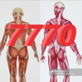 TRANSVEST7770 - TgScanner