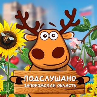 Подслушано Запорожская область - TgScanner