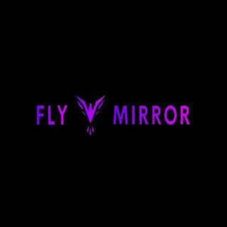 Avatar del canal de Telegram "FLY MIRROR" @flymirror