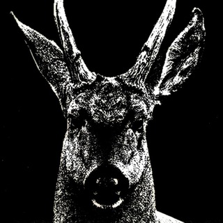 Avatar of Telegram channel "POLOSVR" @polosvr